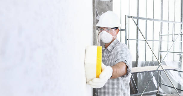 Professional Mold Removal & Remediation in Onancock, VA